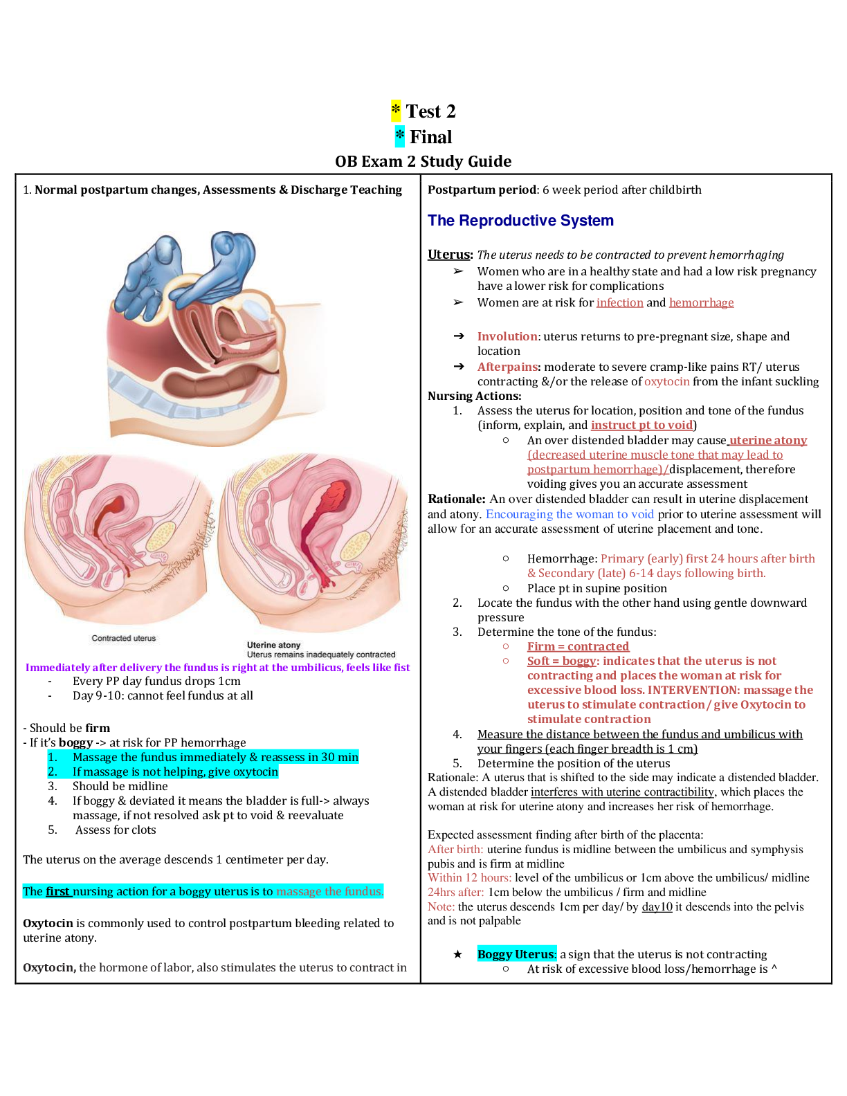 Preview image of NURSING 306 OB 2 Exam 2 StudyGuide OB Hartman GOLD document